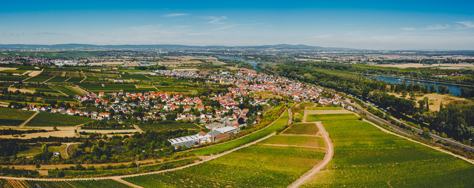 Luftbild Nackenheim