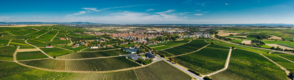 Luftbild Bodenheim