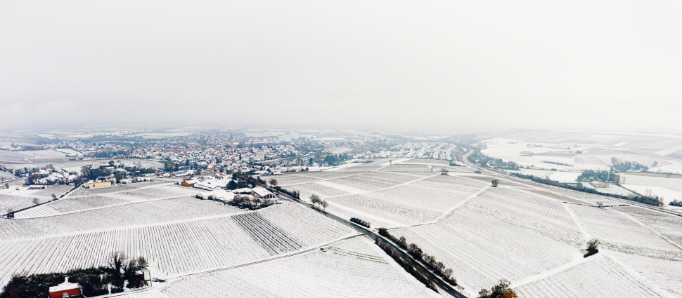 Luftbild Bodenheim im Schnee