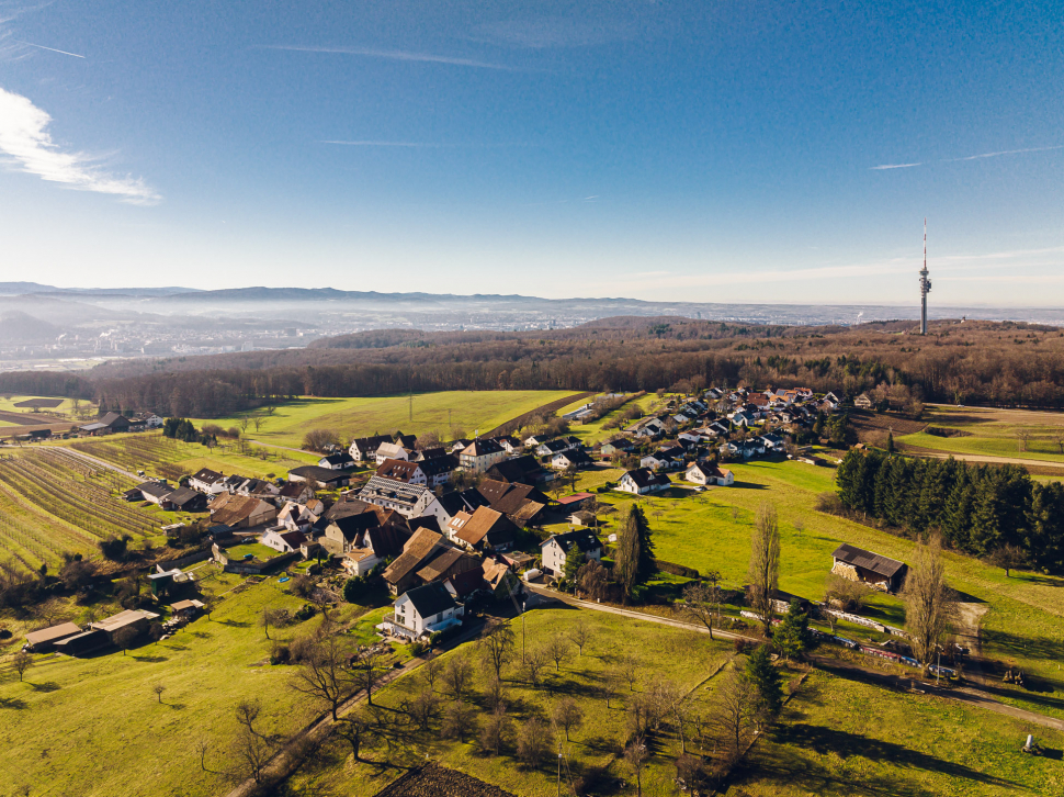 Luftbild Grenzach-Wyhlen-Rührberg 